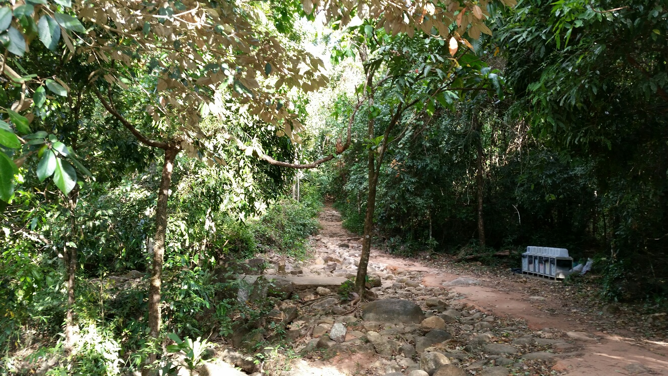 Nam tok (Wasserfall)